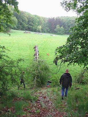 Maibaum 2009 017.jpg